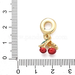 Латунные эмалированные европейские подвески с подвесками&nbsp;LS-KK-Q055-01G