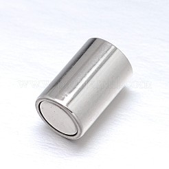Fermoirs magnétiques en acier inoxydable 304 résistant au ternissement avec emembouts collées&nbsp;STAS-M200-A-01