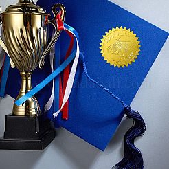 34 лист самоклеящихся наклеек с тиснением золотой фольги&nbsp;DIY-WH0509-054