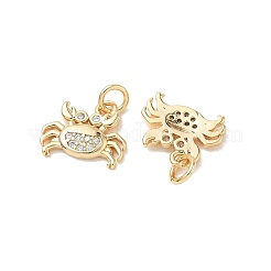 Pendentifs en laiton Shegrace sertis de micro-pavés de zircone cubique&nbsp;XGRQ3D017-456G
