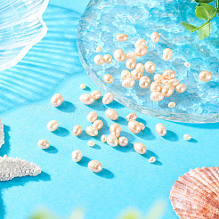 55 шт. 4 вида бусин из натурального культивированного пресноводного жемчуга PEAR-TA0001-18