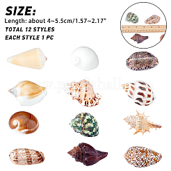 Наборы украшений для дома из натуральной ракушки SSHEL-T016-13