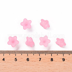 Прозрачные акриловые бусины X-PL554-02