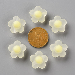 Прозрачные акриловые бусины TACR-S152-09C-07