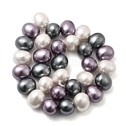 Оболочки жемчужина бисер нитей BSHE-F013-01K