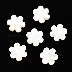 Бусины из натуральных трохоидных/трохус ракушек SSHEL-R145-07