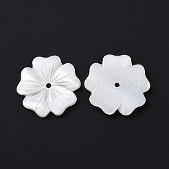 Натуральные белые бусины из ракушек SSHEL-C011-08