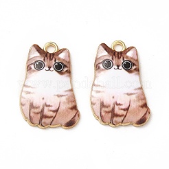 Подвески из эмали и сплава&nbsp;LS-X-ENAM-M046-12G-C