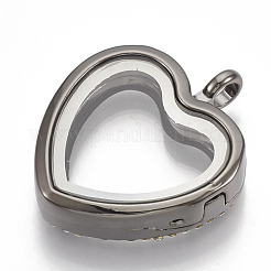 Сплав магнитные подвески медальон&nbsp;PALLOY-T052-11B