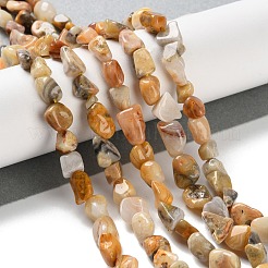 Природные сумасшедший агат бисер нитей G-P497-01C-08