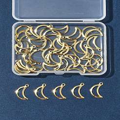 40 шт. подвески из нержавеющей стали 304&nbsp;STAS-FS0001-51