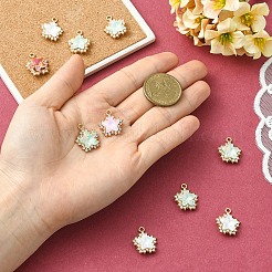 10 pz pendenti in lega di vetro&nbsp;FIND-YW0010-02