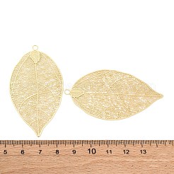 Legierung große Anhänger & Charms&nbsp;PALLOY-F315-04B-G