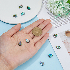 10 шт. бусины из ракушек абалона/пауа SSHEL-FI0001-01