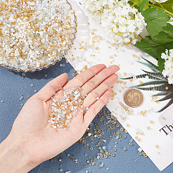 Бисер из стекла &nbsp;SEED-PH0001-24