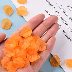 Прозрачные матовые акриловые подвески&nbsp;MACR-S371-01A-724