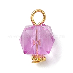 Прозрачные акриловые подвески&nbsp;PALLOY-JF04258-01-S