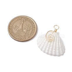 Подвески из медной проволоки в виде ракушки из натурального ковчега PALLOY-JF02678-01