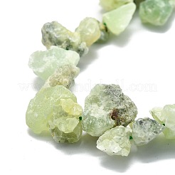 Filamenti grezzi grezzi di origine naturale perline&nbsp;G-E576-28