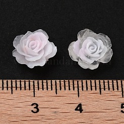 Светящаяся смола декодирует кабошоны RESI-K036-59