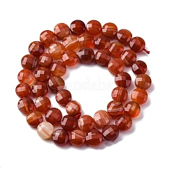 Нити бусин из натурального красного полосатого агата/полосатого агата G-C179-A02-03