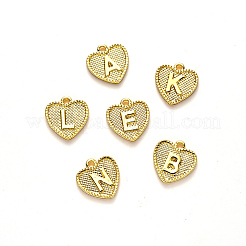 Подвески из сплава &nbsp;PALLOY-N157-001-NR