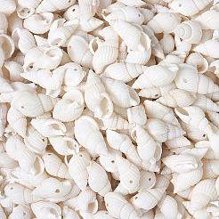 Натуральные бусины из ракушек-трубочек BSHE-KS0001-01