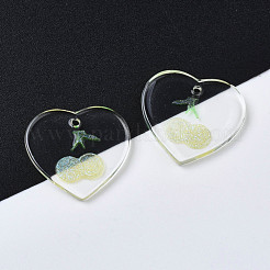 Прозрачные смоляные подвески&nbsp;RESI-N030-002B