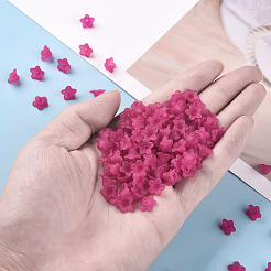 Прозрачные акриловые бусины PL554-04