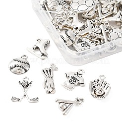 48шт 12 стиля подвески из сплава в тибетском стиле&nbsp;TIBE-FP0001-15