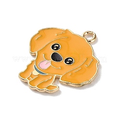 Pendentifs d'émail en alliage&nbsp;FIND-I047-01KCG-06