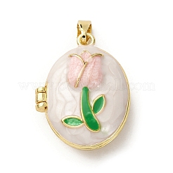 Латунь эмаль Locket подвески&nbsp;KK-F912-05C-G