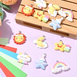 12шт 6 стиля подвески из смолы&nbsp;RESI-YW0002-06