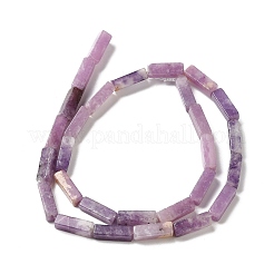Natürliche Lepidolith / lila Glimmer Steinperlen Stränge&nbsp;G-E612-C05-B