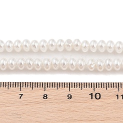 Fili di perle di conchiglie galvanizzate&nbsp;BSHE-C006-04A