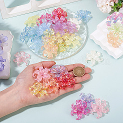 50 pièces 2 styles de capuchons de perles en acrylique&nbsp;OACR-TA0004-84
