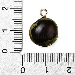 Латунные подвески из акрила OACR-R006-01G-08