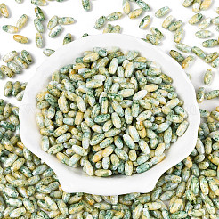 Выпечка краска стеклянные бусины SEED-N008-06H