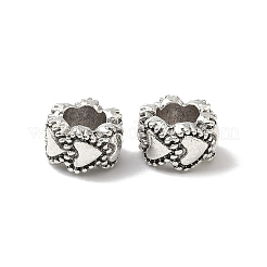 Сплавочные европейские бусины&nbsp;X-PALLOY-S079-076AS