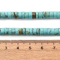 Fili di perline howlite naturale&nbsp;G-WH0029-01