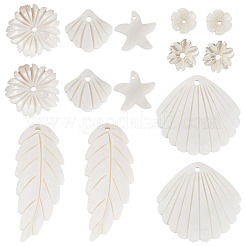 14шт 7 стиля подвески из натуральных пресноводных ракушек SHEL-TA0001-24