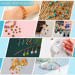 300 шт. 10 стиля&nbsp;STAS-ME0001-66