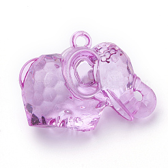 Прозрачные акриловые подвески TACR-T002-16