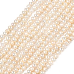 天然養殖淡水パールビーズ連売り  ポテト  グレード3 A  アンティークホワイト  4mm  穴：0.6mm  約114個/連  13.78''（35センチメートル）&nbsp;PEAR-L034-06C