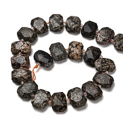 Природные снежинка обсидиан бисер нитей G-H078-B22-01