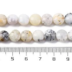 Натуральный белый опал африканские бусы пряди G-C179-A35-03