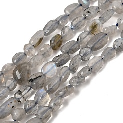 天然ラブラドライトナゲット連売りをビーズ  タンブルストーン  5~10x6~7x3~7mm  穴：1mm  約14.9インチ〜15.7インチ&nbsp;G-J335-40