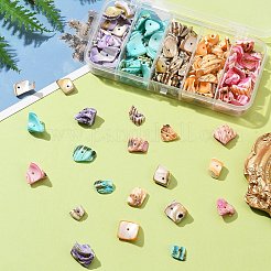 125 г 5-х цветов натуральных бусин-ракушек&nbsp;BSHE-FS0001-06A