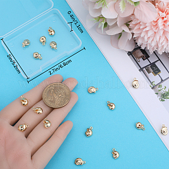 20 Stück Messing Charms&nbsp;KK-BBC0010-34