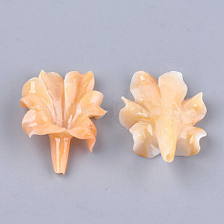 Perline corallo sintetico&nbsp;CORA-S027-35D